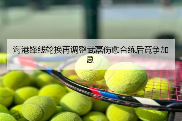 海港锋线轮换再调整武磊伤愈合练后竞争加剧