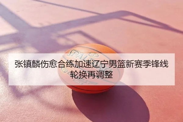 张镇麟伤愈合练加速辽宁男篮新赛季锋线轮换再调整